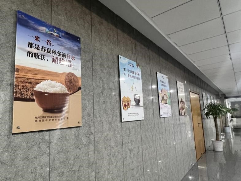 杨浦2.jpg