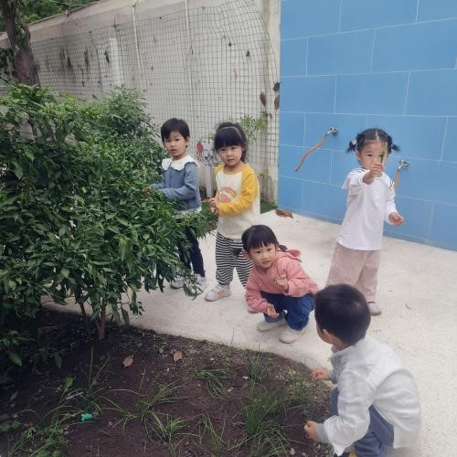 虹口2.jpg